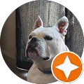 G. Letoile Jr, verified Google reviewer